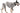 Amazon Basics Hundewindel für Rüden, Einwegwindeln, Mittel (Pack of 50), Weiß