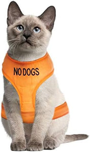 [RESIGILAT] Dexil Ham pentru pisici, vesta avertizare, portocalie