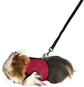 [RESIGILAT] TRIXIE Ham pentru animale mici, lesa elastica, marime mica