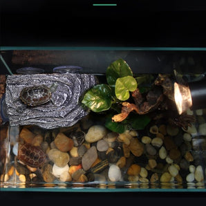 [RESIGILAT] Platforma inot pentru testoase, ventuze, terasa flotanta