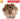 [RESIGILAT] Decora 0070108 Angel Food Cake Pan, 22x10cm, Non-stick