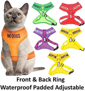 [RESIGILAT] Dexil Ham pentru pisici, vesta avertizare, portocalie