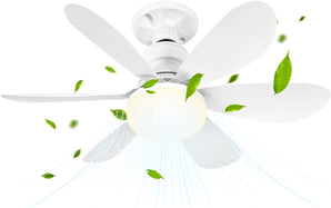 [RESIGILAT] Ventilator de tavan cu lumină, BuzzoXerex, mic, silențios, 3 trepte viteză, dimabil, funcție timer, cu telecomandă