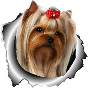 [RESIGILAT] Autocolant auto Yorkshire Terrier 22cm 3D reflectiv