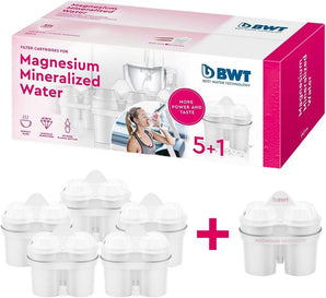 [RESIGILAT] Cartuse filtru apa BWT 6 bucati alb