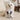 [RESIGILAT] Pet London Chihuahua, jucarie caine, gri