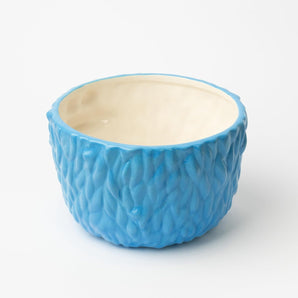 [RESIGILAT] Bol Cookie Monster Sesame Street, ceramică, 15,9 x 9 cm, albastru