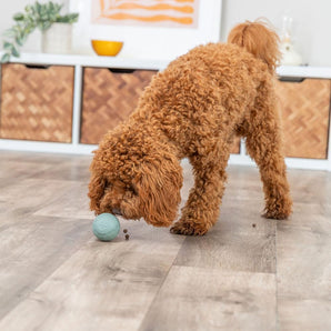 [RESIGILAT] Trixie Minge Activitati Caini, Cauciuc Natural, Diametru 6 cm