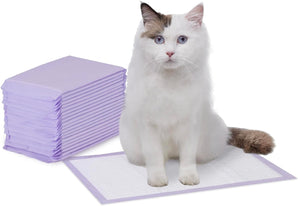 [RESIGILAT] Tampoane nisip pisici Amazon Basics 20 bucati violet alb