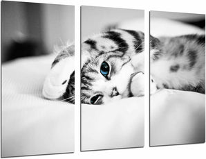 [RESIGILAT] Poster aparat foto, multicolor, 97 x 62 cm