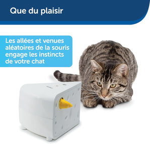 [RESIGILAT] Jucărie interactivă pentru pisici PetSafe Cheese, 3 baterii AA