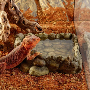 [RESIGILAT] Exo Terra Coltar Apa, Extra Mare