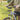 [RESIGILAT] TRIXIE suport cos bicicleta, montare ghidon, compatibil 13108