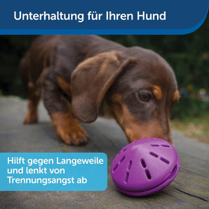 [RESIGILAT] PetSafe Twist-n-Treat jucarie caini umpluta Violet