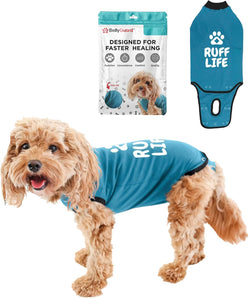 [RESIGILAT] BellyGuard Costum Recuperare Caini, Chirurgical, Confortabil