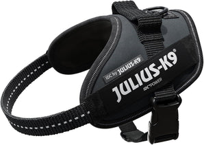 [RESIGILAT] Ham IDC Julius-K9 alimentar XS Mini-Mini antracit