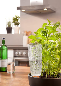 [RESIGILAT] Scheurich Copa XL, Figurina stropire, transparenta