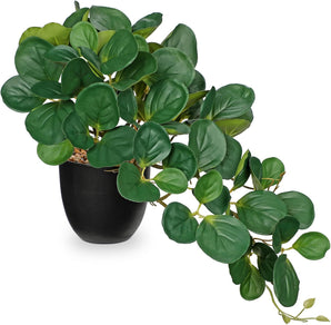 [RESIGILAT] Planta artificiala Hollyone, 33 cm, verde, decorativa.