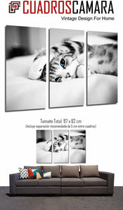 [RESIGILAT] Poster aparat foto, multicolor, 97 x 62 cm