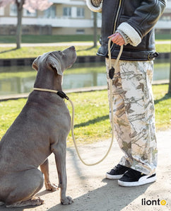 [RESIGILAT] Lesă Retriever robustă pentru câini, 170 cm, vegană, bej