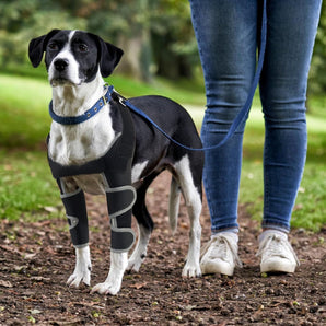 [RESIGILAT] Bandaj cot caini, pentru umar si picior, leziuni, stabilitate