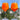 [RESIGILAT] Pahare Aperol Spritz Morgenrothe XL 6 bucati