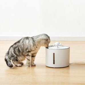 Amazon Basics Trinkbrunnen für Haustiere, Kleintiertränke, Hundetränke, Edelstahl, 3 L, mit 3 Kohlefiltern, Weiß