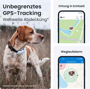 [RESIGILAT] GPS tracker caini Martin Rutter, urmarire globala si alerte
