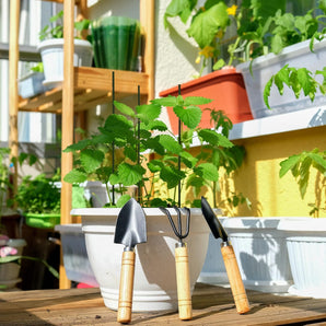 [RESIGILAT] Stalp pentru plante Relaxdays set 50 bambus 60 cm negru