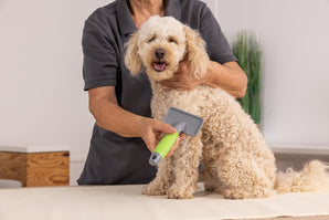 [RESIGILAT] Moser Slicker Medium, Perie pentru caini de talie medie