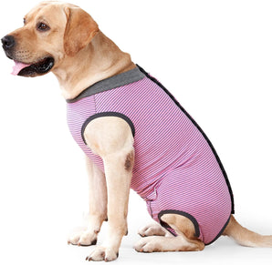 [RESIGILAT] Costum recuperare pentru caini dupa operatie veterinara