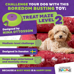 [RESIGILAT] Outward Hound Labirint Caini, Puzzle Nivel 2, Verde