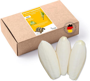 [RESIGILAT] Tamay Cuttlebone, 250 g, hrana cu calciu pentru reptile, pasari