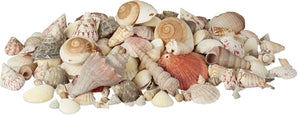 [RESIGILAT] Set decoratiuni scoici relaxdays mix maritim 2 kg