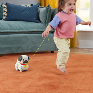 [RESIGILAT] Jucarie de tras Fisher-Price pentru copii peste 12 luni