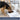 TRIXIE programmierbarer Futterspender/Smartfeeder "Futterautomat TX2, 2 × 0,3 l/27 × 7 × 24 cm, schwarz/weiß" für Hunde und Katzen - 24372