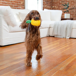 [RESIGILAT] Jucarie pentru caini Outward Hound, ananas galben