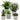 [RESIGILAT] Plante Artificiale, Agave, Aloe, Ghara Vultur, Decor Dormitor Birou