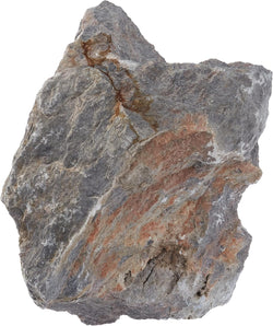 [RESIGILAT] Amtra Dragon Rock, Decor Acvariu, Calcar, 2.5 KG