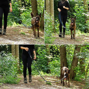 [RESIGILAT] Lionto Lesa Multifunctionala, Reglabila, Albastra, 200 cm